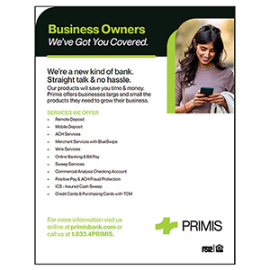 Business Services Flyer Thumbnail